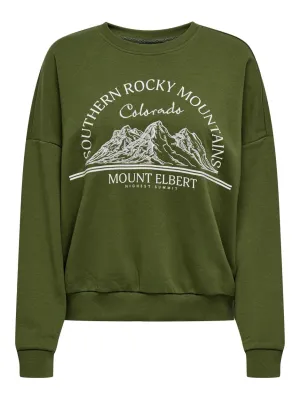 Onlyldis L/s Mountain O-neck Box Sw - Olijf